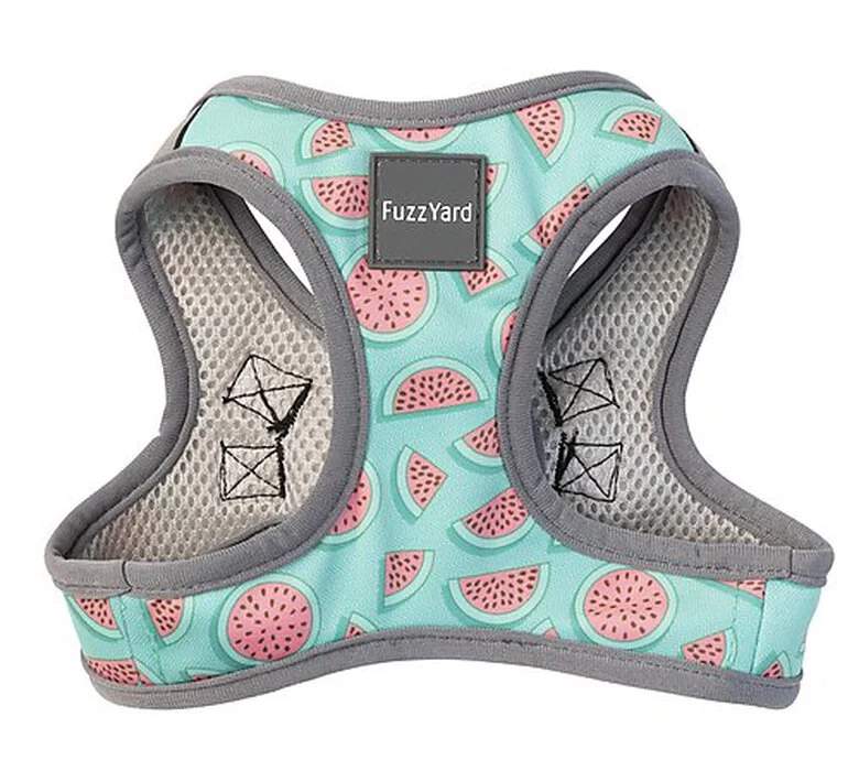FuzzYard - Harnais Summer Punch Pour Chien - XL 1 FuzzYard - Harnais Summer Punch Pour Chien - XL