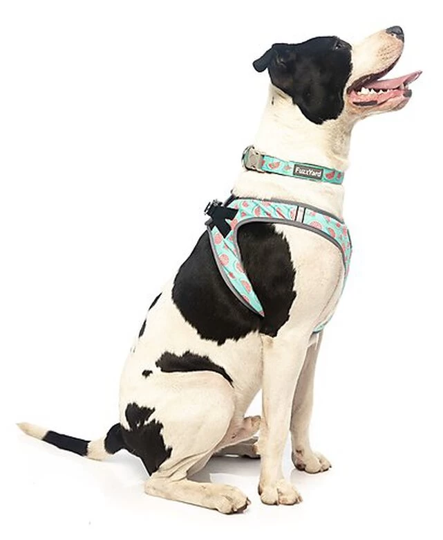 FuzzYard - Harnais Summer Punch Pour Chien - XL 3 FuzzYard - Harnais Summer Punch Pour Chien - XL – Image 3