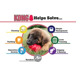 KONG - Jouet Extreme Pour Chien -Fournitures Pour Chiens 45856