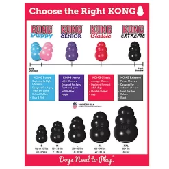 KONG - Jouet Extreme Pour Chien -Fournitures Pour Chiens 45858