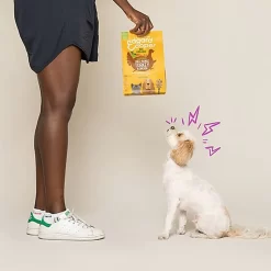 Edgard & Cooper - Croquettes BIO à La Dinde Et Poulet Pour Chien - 2,5Kg 9 Edgard & Cooper - Croquettes BIO à La Dinde Et Poulet Pour Chien - 2,5Kg -Fournitures Pour Chiens 46557