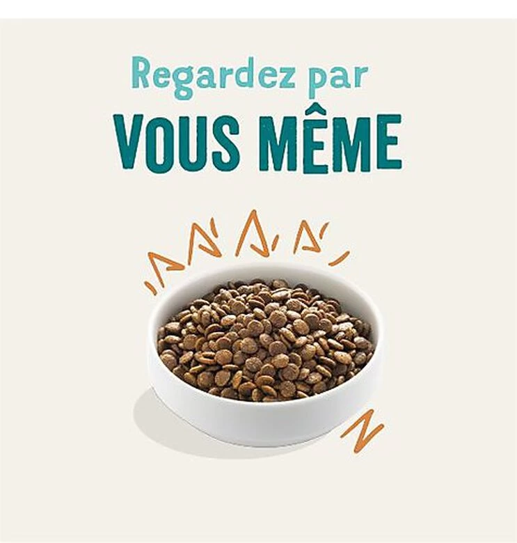 Edgard & Cooper - Croquettes Au Poulet Pour Chien - 7Kg 2 Edgard & Cooper - Croquettes Au Poulet Pour Chien - 7Kg – Image 2