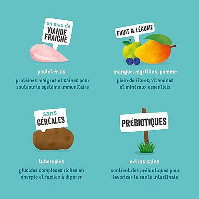 Edgard & Cooper - Croquettes Au Poulet Pour Chien - 7Kg 5 Edgard & Cooper - Croquettes Au Poulet Pour Chien - 7Kg – Image 5