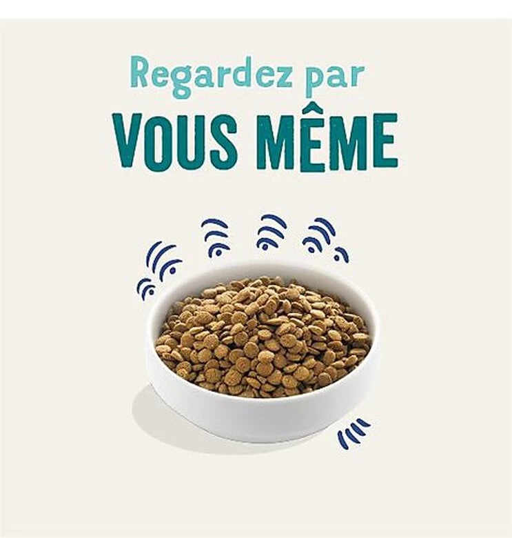 Edgard & Cooper - Croquettes Au Saumon Pour Chien - 12Kg 2 Edgard & Cooper - Croquettes Au Saumon Pour Chien - 12Kg – Image 2