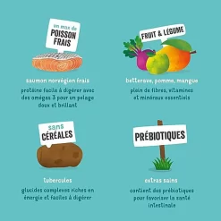 Edgard & Cooper - Croquettes Au Saumon Pour Chien - 12Kg 12 Edgard & Cooper - Croquettes Au Saumon Pour Chien - 12Kg -Fournitures Pour Chiens 46574 1