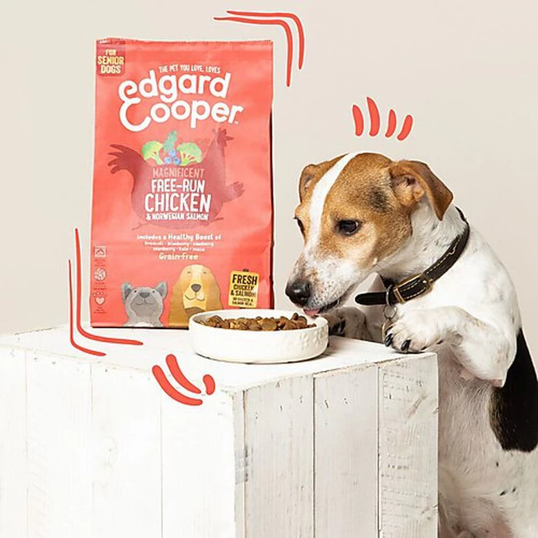 Edgard & Cooper - Croquettes Poulet Et Saumon Pour Chien Senior - 7Kg 3 Edgard & Cooper - Croquettes Poulet Et Saumon Pour Chien Senior - 7Kg – Image 3