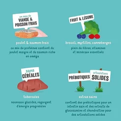 Edgard & Cooper - Croquettes Poulet Et Saumon Pour Chien Senior - 7Kg 12 Edgard & Cooper - Croquettes Poulet Et Saumon Pour Chien Senior - 7Kg -Fournitures Pour Chiens 46584