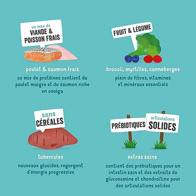 Edgard & Cooper - Croquettes Poulet Et Saumon Pour Chien Senior - 7Kg 5 Edgard & Cooper - Croquettes Poulet Et Saumon Pour Chien Senior - 7Kg – Image 5