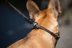 Goleygo - Laisse Ronde Réglable Marron Pour Chien - M -Fournitures Pour Chiens 47750