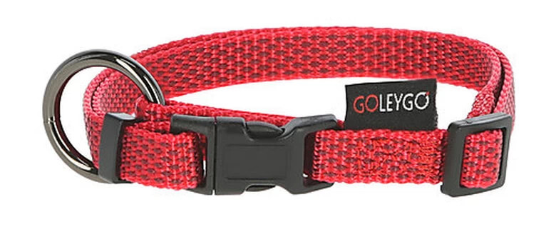 Goleygo - Ensemble Laisse Collier Et Goupille Rouge Pour Chien - S 2 Goleygo - Ensemble Laisse Collier Et Goupille Rouge Pour Chien - S – Image 2