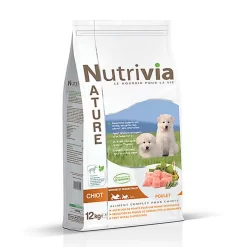 Meilleures ventes -Fournitures Pour Chiens 50431