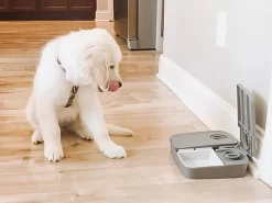 PetSafe - Distributeur Automatique 2 Repas Pour Chien Et Chat -Fournitures Pour Chiens 50568