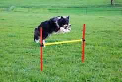 Kerbl - Kit Complet Agility Pour Chiens -Fournitures Pour Chiens 51524