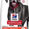 Hill's Science Plan - Croquettes Adulte Large Breed Perfect Digestion Au Poulet Pour Chien - 12Kg