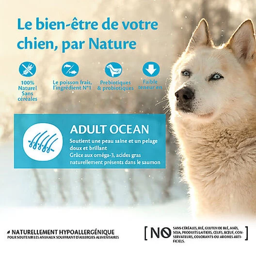 Wellness CORE - Croquettes Océan Saumon Et Thon Pour Chien - 10Kg 2 Wellness CORE - Croquettes Océan Saumon Et Thon Pour Chien - 10Kg – Image 2