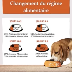 Wellness CORE - Croquettes Océan Saumon Et Thon Pour Chien - 10Kg 9 Wellness CORE - Croquettes Océan Saumon Et Thon Pour Chien - 10Kg -Fournitures Pour Chiens 64061