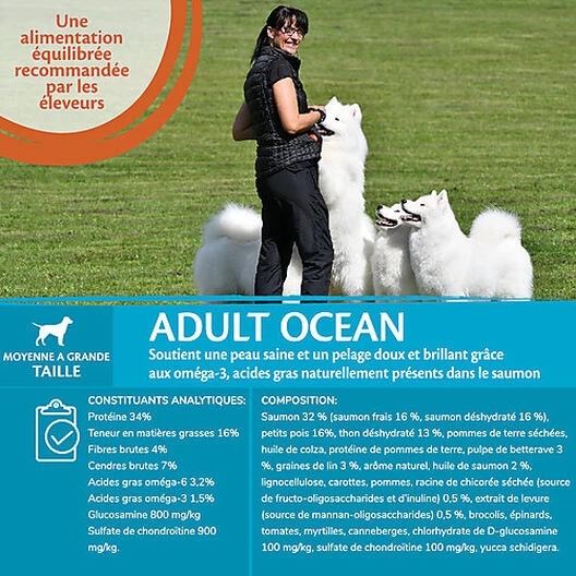 Wellness CORE - Croquettes Océan Saumon Et Thon Pour Chien - 10Kg 3 Wellness CORE - Croquettes Océan Saumon Et Thon Pour Chien - 10Kg – Image 3