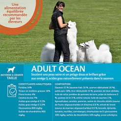 Wellness CORE - Croquettes Océan Saumon Et Thon Pour Chien - 1,8Kg -Fournitures Pour Chiens 64078