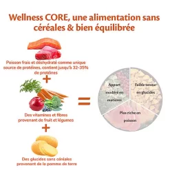 Wellness CORE - Croquettes Océan Saumon Et Thon Pour Chien - 1,8Kg -Fournitures Pour Chiens 64080
