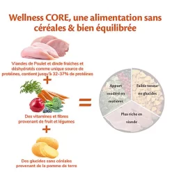 Wellness CORE - Croquettes Original Dinde Et Poulet Pour Chien - 10Kg 8 Wellness CORE - Croquettes Original Dinde Et Poulet Pour Chien - 10Kg -Fournitures Pour Chiens 64096