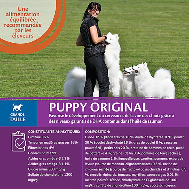 Wellness CORE - Croquettes Puppy Poulet & Dinde Pour Chiot Grande Race - 2,75Kg 3 Wellness CORE - Croquettes Puppy Poulet & Dinde Pour Chiot Grande Race - 2,75Kg – Image 3