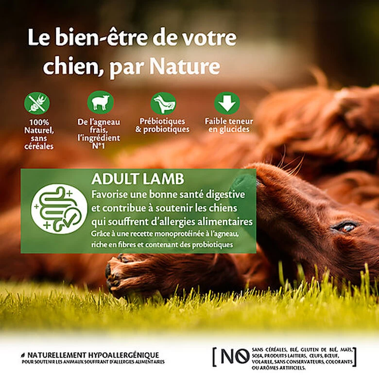 Wellness CORE - Croquettes à L'Agneau Pour Chien De Toutes Races - 1,8Kg 2 Wellness CORE - Croquettes à L'Agneau Pour Chien De Toutes Races - 1,8Kg – Image 2