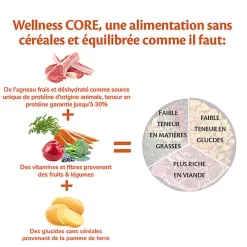 Wellness CORE - Croquettes à L'Agneau Pour Chien De Toutes Races - 1,8Kg 9 Wellness CORE - Croquettes à L'Agneau Pour Chien De Toutes Races - 1,8Kg -Fournitures Pour Chiens 64196
