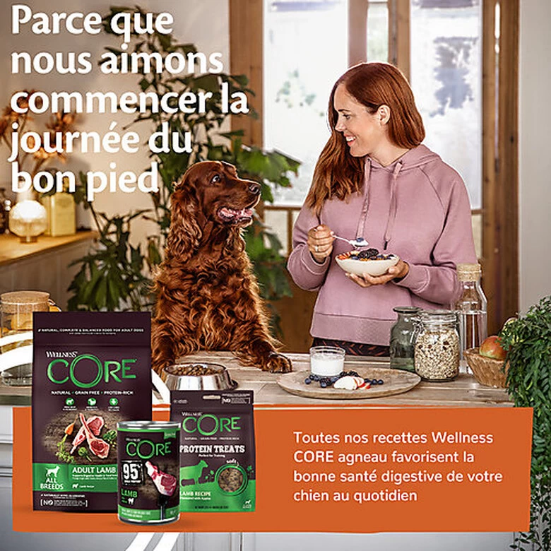 Wellness CORE - Croquettes à L'Agneau Pour Chien De Toutes Races - 1,8Kg 6 Wellness CORE - Croquettes à L'Agneau Pour Chien De Toutes Races - 1,8Kg – Image 6