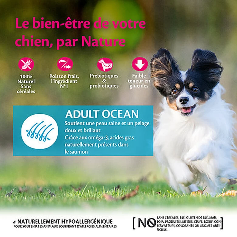 Wellness CORE - Croquettes Océan Saumon Et Thon Pour Chien De Petite Race - 5Kg 2 Wellness CORE - Croquettes Océan Saumon Et Thon Pour Chien De Petite Race - 5Kg – Image 2
