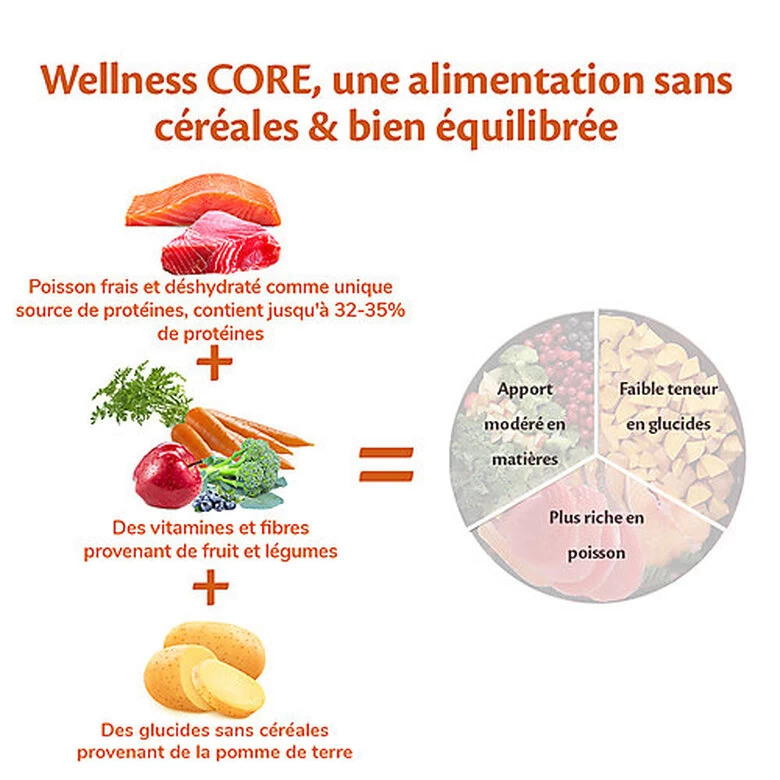 Wellness CORE - Croquettes Océan Saumon Et Thon Pour Chien De Petite Race - 5Kg 4 Wellness CORE - Croquettes Océan Saumon Et Thon Pour Chien De Petite Race - 5Kg – Image 4