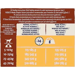 Dog Chow - Croquettes Mature Au Poulet Pour Chien - 14Kg -Fournitures Pour Chiens 64249