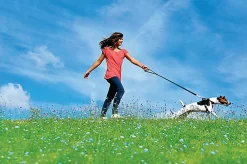 Zolux - Harnais De Sécurité Auto Pour Chien 19 Zolux - Harnais De Sécurité Auto Pour Chien -Fournitures Pour Chiens 6490