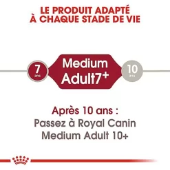 Royal Canin - Croquettes Medium Adulte 7+ Pour Chien -Fournitures Pour Chiens 66799