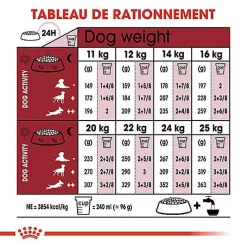 Royal Canin - Croquettes Medium Adulte 7+ Pour Chien -Fournitures Pour Chiens 66803