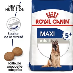 Meilleures ventes -Fournitures Pour Chiens 66833