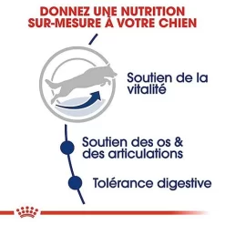 Royal Canin - Croquettes Maxi Adulte 5+ Pour Chien Adulte - 15Kg -Fournitures Pour Chiens 66834