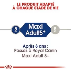 Royal Canin - Croquettes Maxi Adulte 5+ Pour Chien Adulte - 15Kg -Fournitures Pour Chiens 66835