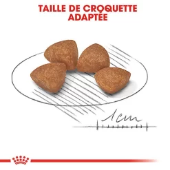 Royal Canin - Croquettes Puppy X-Small Pour Chiot De Petite Taille - 1,5Kg -Fournitures Pour Chiens 66878