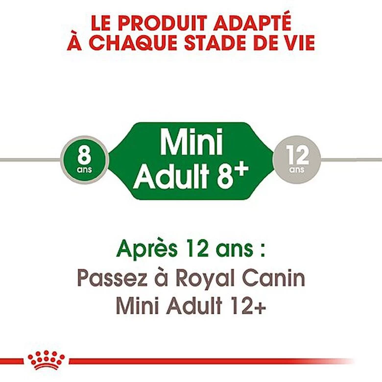 Royal Canin - Croquettes Mini 8+ Pour Chien Adulte 5 Royal Canin - Croquettes Mini 8+ Pour Chien Adulte – Image 5
