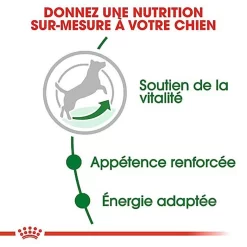 Royal Canin - Croquettes Mini 8+ Pour Chien Adulte 14 Royal Canin - Croquettes Mini 8+ Pour Chien Adulte -Fournitures Pour Chiens 66897