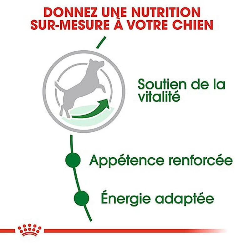 Royal Canin - Croquettes Mini 8+ Pour Chien Adulte 6 Royal Canin - Croquettes Mini 8+ Pour Chien Adulte – Image 6