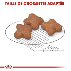 Royal Canin - Croquettes Mini 8+ Pour Chien Adulte 15 Royal Canin - Croquettes Mini 8+ Pour Chien Adulte -Fournitures Pour Chiens 66898