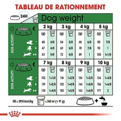 Royal Canin - Croquettes Mini 8+ Pour Chien Adulte 16 Royal Canin - Croquettes Mini 8+ Pour Chien Adulte -Fournitures Pour Chiens 66899