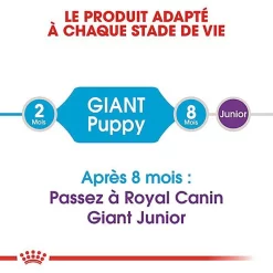 Royal Canin - Croquettes Giant Puppy Pour Chiot - 15Kg -Fournitures Pour Chiens 66959