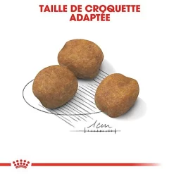 Royal Canin - Croquettes Giant Puppy Pour Chiot - 15Kg -Fournitures Pour Chiens 66961