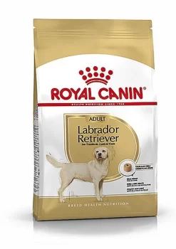 Royal Canin - Croquettes Labrador Pour Chien Adulte