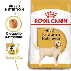 Royal Canin - Croquettes Labrador Pour Chien Adulte -Fournitures Pour Chiens 67030