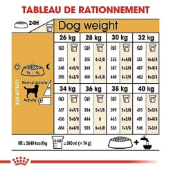 Royal Canin - Croquettes Labrador Pour Chien Adulte -Fournitures Pour Chiens 67033
