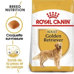 Royal Canin - Croquettes Golden Retriever Pour Chien Adulte -Fournitures Pour Chiens 67280