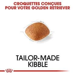 Royal Canin - Croquettes Golden Retriever Pour Chien Adulte -Fournitures Pour Chiens 67281